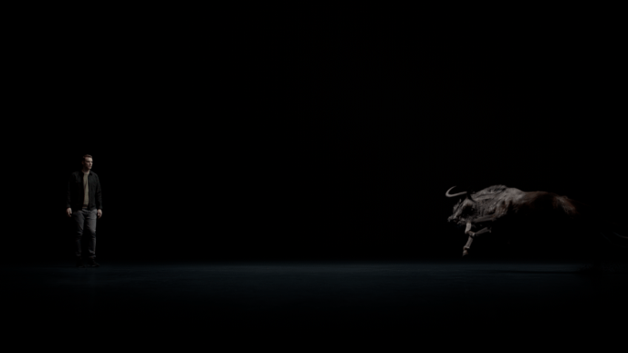 a stand off between a person and a wildebeest in darkness