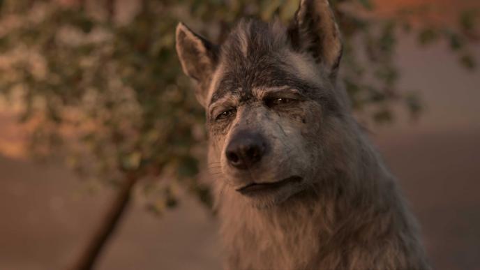 cg animated photorealistic close up of father wolf