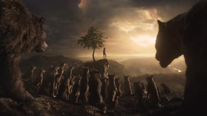 back view of cg animated photorealistic baloo and bagheera looking at a large wolf pack as mowgli stands facing them at the edge of a cliff