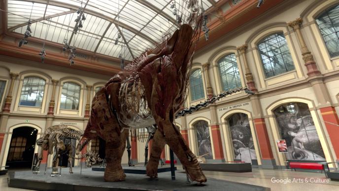 muscles and tissue forming on the legs and body of the giraffatitan dinosaur in the natural history museum