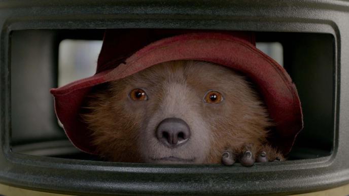 face close up shot of paddington bear wearing a hat peaking out of a bin