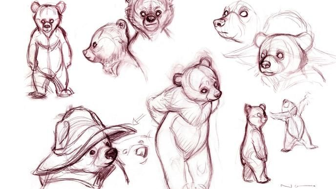 sketches of paddington bear