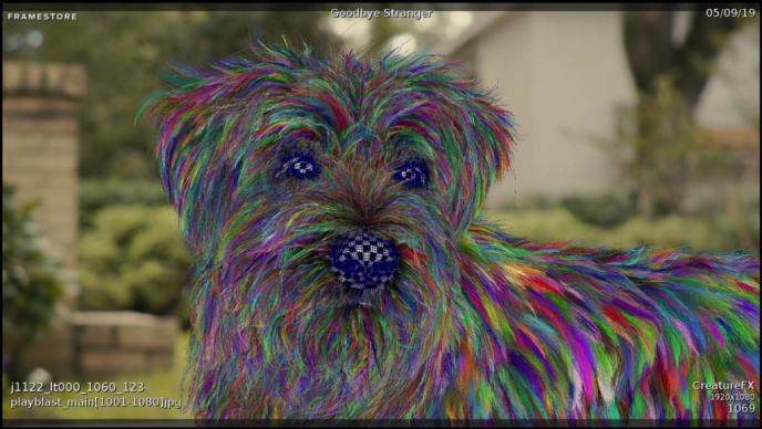 fibre process of tramp the dog