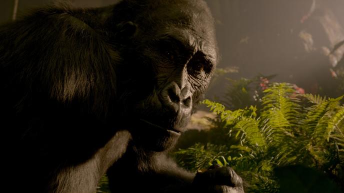 close up of an ape looking innocently into the camera amongst fern plants