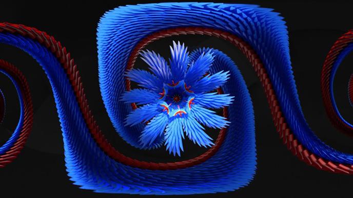 animated graphic design flower