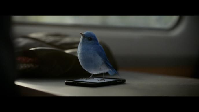 cg animated bluebird standing on a mobile phone