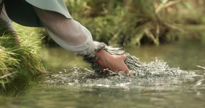 A hand reaches into a lake, grasping what seems to be a hand coming out of the water, formed of lots of small fish