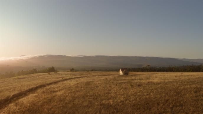 aerial perspective of a house amidst a field in golden hour