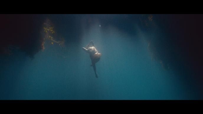 a woman posing underwater surrounded by sea moss. light is shining down from the surface
