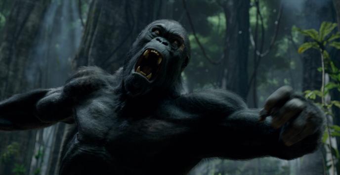 a gorilla in attack mode