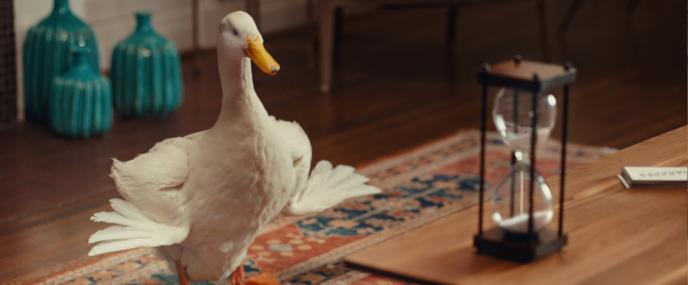 the Aflac Duck plays a game of charades in a living room, there is an hour glass on the coffee table