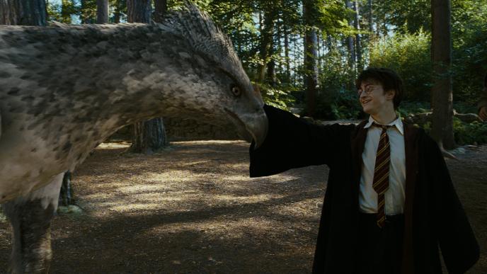 A boy is stroking the beak of a mythical creature with a birds head and horses body, they are in a warmly lit forest. 