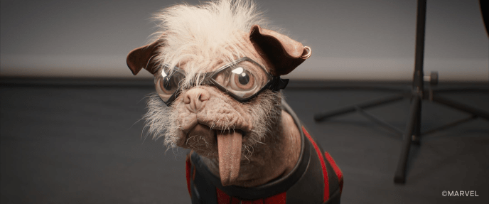 Dogpool