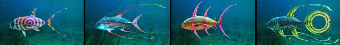 Concept art from Wicked displaying different kinds of magical fish in Oz
