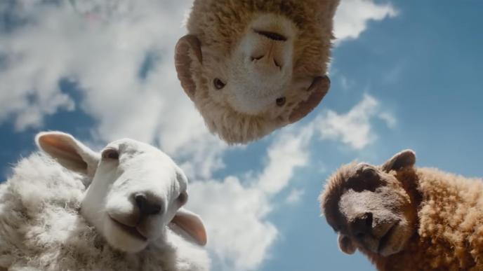 Three different CGI animated sheep, looking down