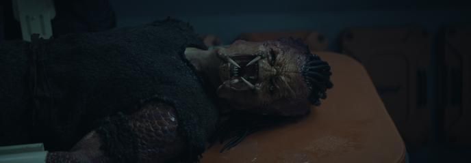 The Complex Face of Deck Final Image 5