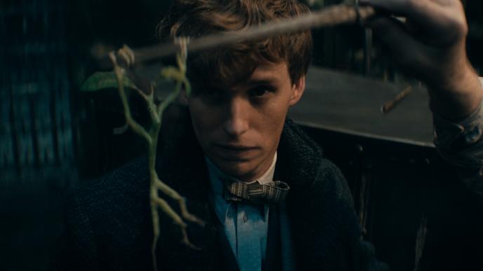 Newt and Pickett
