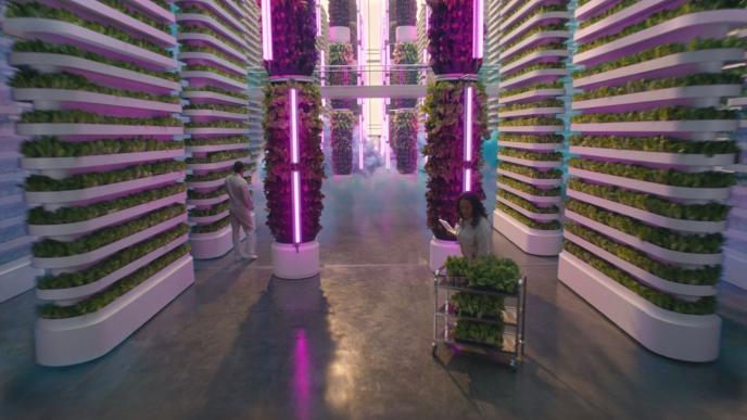 a futuristic vertical vegetable farm that has uv lamps. there are two people standing. one of them is overlooking vegetation that has been harvested on a steel trolley. the other person is looking towards the end of the room