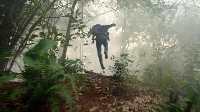 back view of a person running through a forest