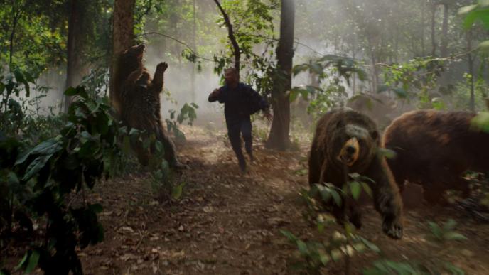 cg animated bears chasing a human in a forest