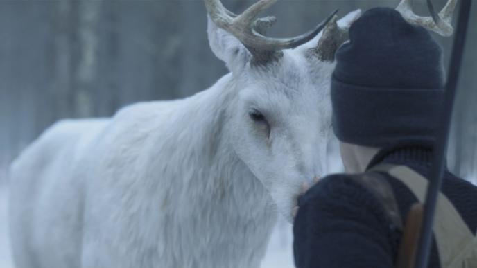 A white stag