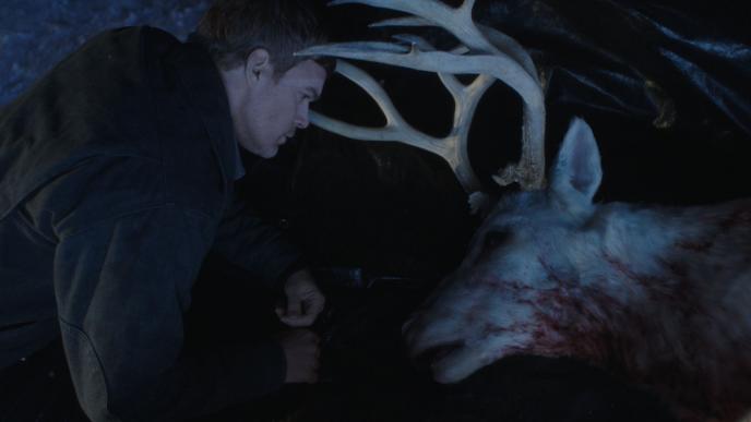 A man lies with a white stag in a pool of blood