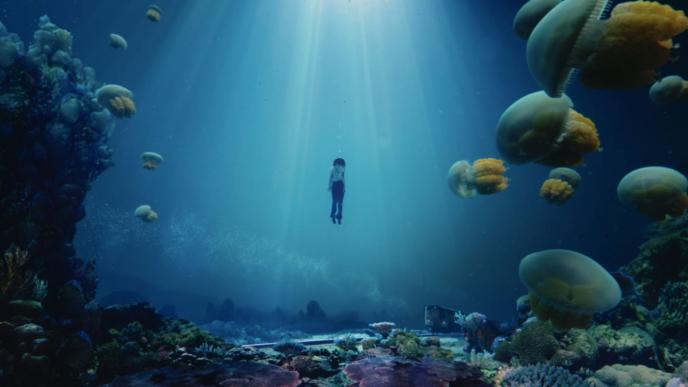 a person underwater surrounded by jellyfish and coral