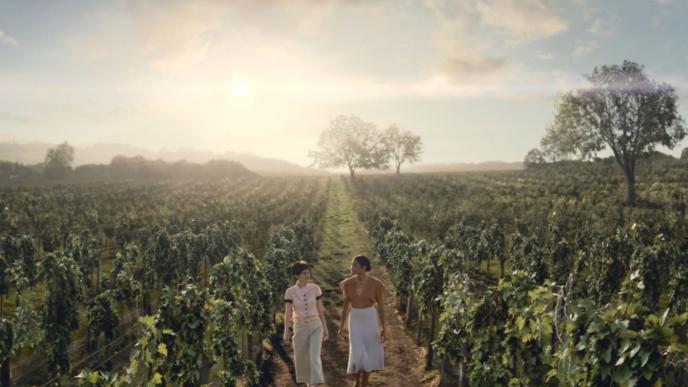 two people walking through a vineyard. there are trees in the background. the sun is gleaming ahead
