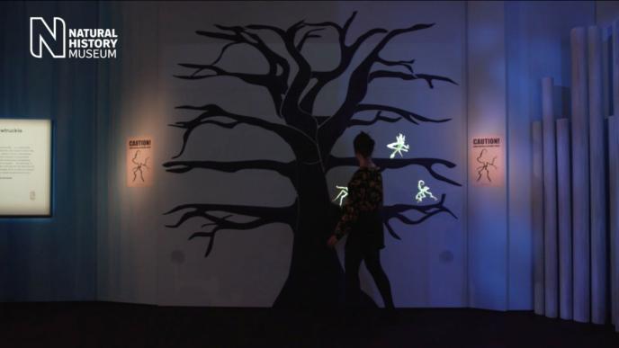 a museum visitor walking past while looking at an animated tree installation