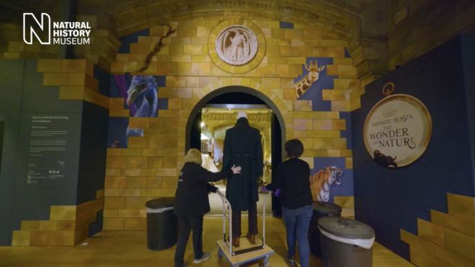 two people taking an exhibition prop through an archway in the natural history museum