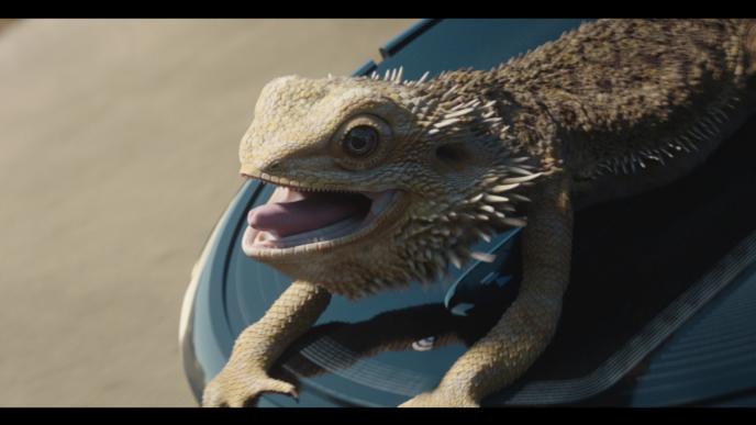 close up of jeff the bearded dragon holding onto a roomba as he is shouting
