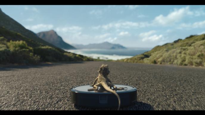 perspective of us onlooking jeff the bearded dragon's back as he is sliding down a road on a roomba that overlooks mountains and the sea in the distance