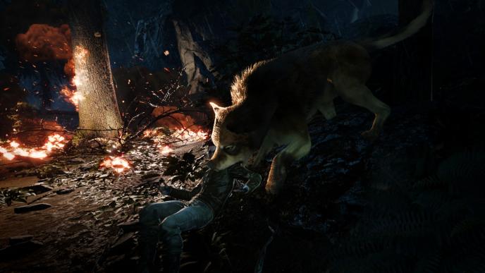 a wolf from the film twilight eating the head of a person laying on the floor. they are in a forest that is burning