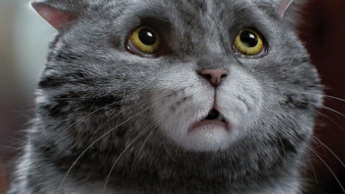 close up face shot of the animated character mog the cat looking up in a concerned way