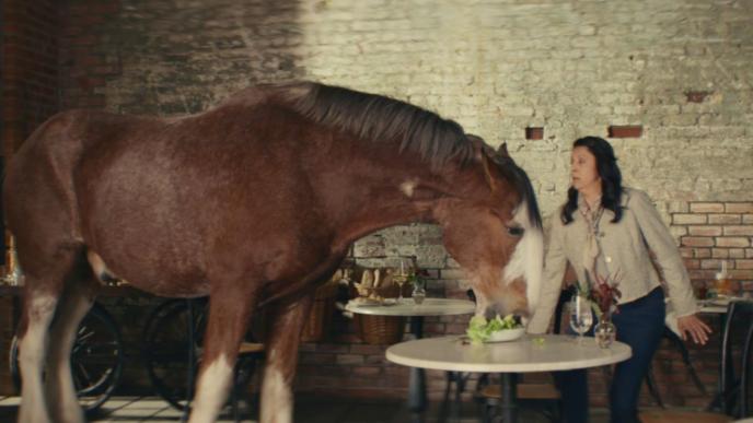 a horse eating a person's salad as they are getting up in a hurried manner