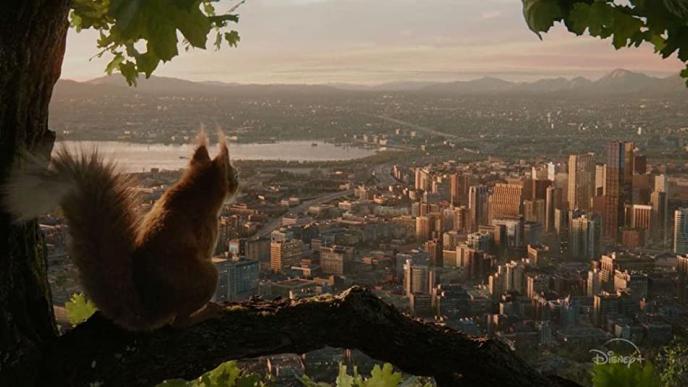 Ulysses sits on a branch and looks towards the cityscape