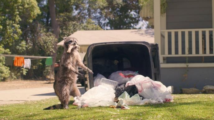 a cg animated racoon eating rubbish out of rubbish bin that is on its side