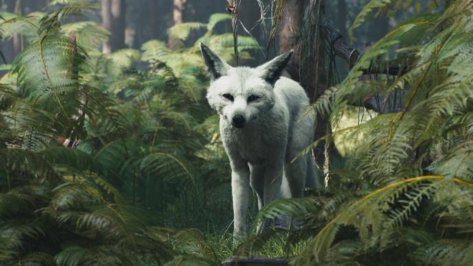 the witch from 47 ronin in white fox formation amidst ferns and greenery staring directly into the camera