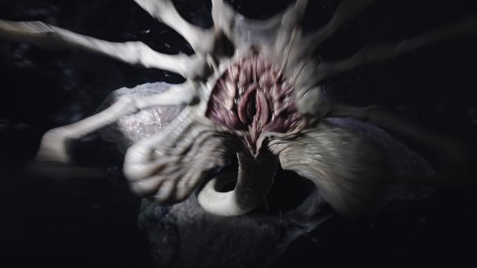 inside of a facehugger 