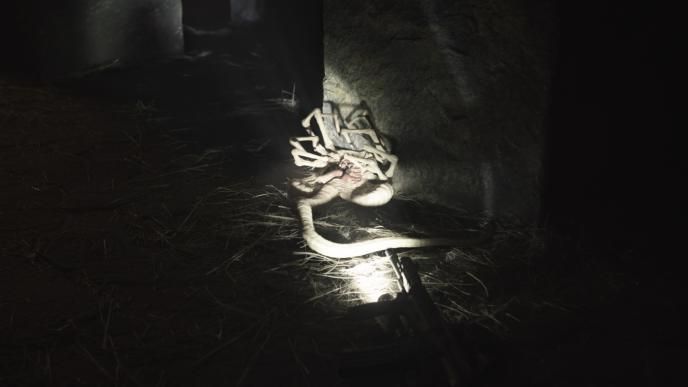 a facehugger crawled up against a wall as a torch lights it up