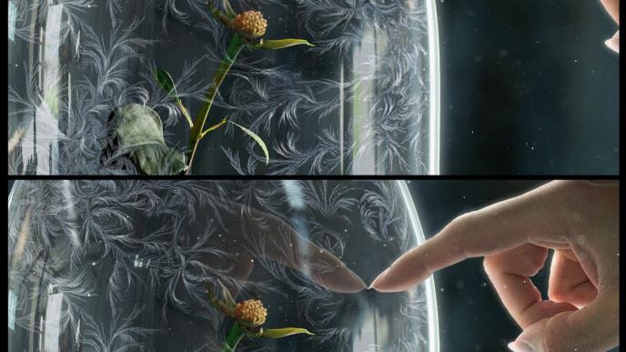 concept of the forever rose in a glass dome. belle's finger is poking the glass and pointing at the no-petal rose stem