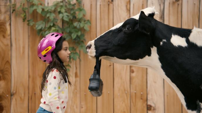 side view of a child wearing a pink helmet and a cow holding a vr in its mouth facing each other