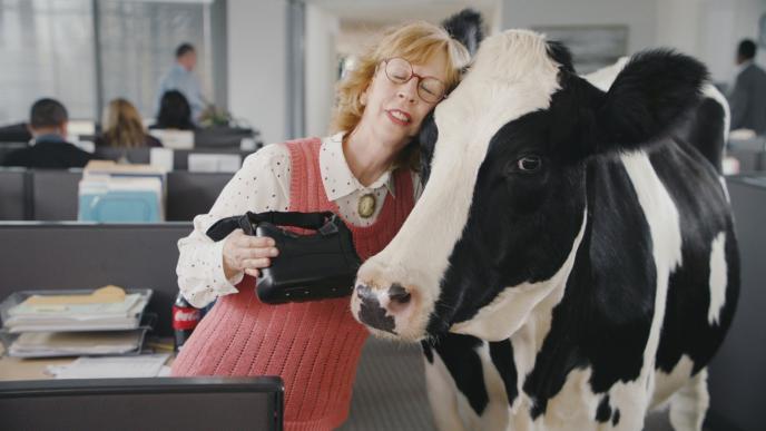 a woman at a desk in an office hugging a cow