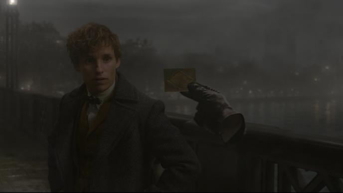 newt scamander holding up a card