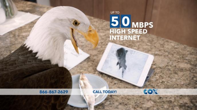 a cg animated eagle opening its mouth in shock sitting at a marble kitchen top. there is a plate that has a dead fish on it and an ipad with a tuna fish on the screen.