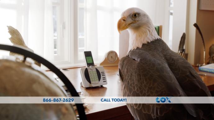 a cg animated eagle standing by a landline telephone looking back towards the camera