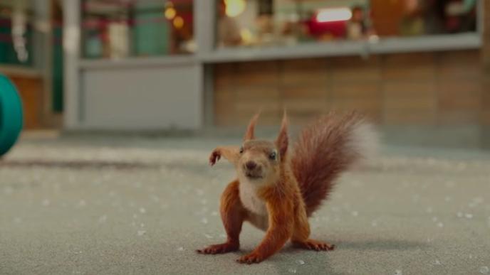 a red squirrel standing in a superhero position