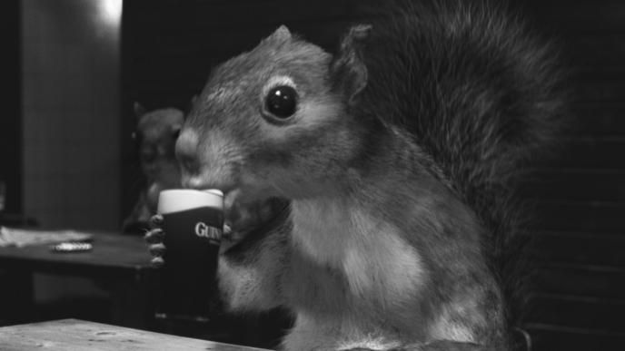black and white image of a cg animated squirrel drinking a pint of guinness