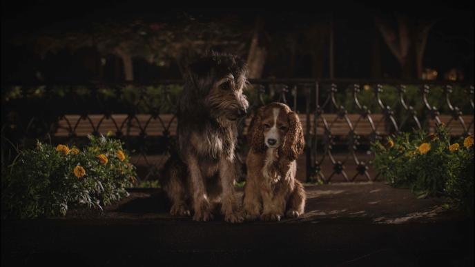 cg animated lady and the tramp dogs sitting side by side. tramp the dog is talking as lady the dog looks to the ground