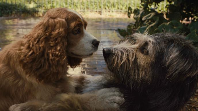 cg animated photorealistic lady the dog and tramp the dog looking at each other
